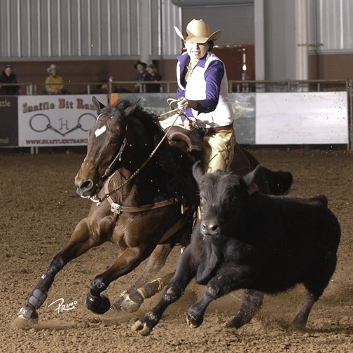 Sue C Shiner, by Shining Spark, carried Amanda Gardiner to success in the show pen, and also helped Gardiner Quarter Horses of Ashland rocket into the reined cow horse industry earning honors as the National Reined Cow Horse Association Leading Breeders and Leading Owners in 2013. (Photo by Primo Morales.)