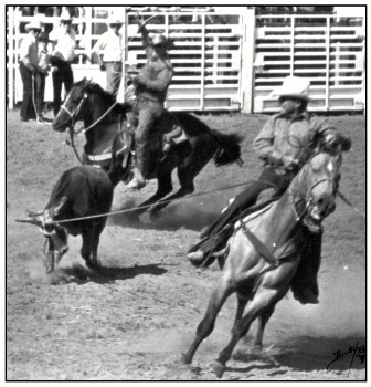 Generally winners in rodeo competitions throughout the Midwest and the country, Bob Alexander was on the head, as Wayne Alexander caught the heels to win an Old Timers Rodeo team roping not that many years ago in Hyannis, Nebraska.