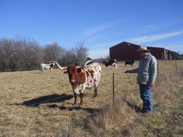 Larry and Sandy Browning and their family at the Circle B- near Emporia have raised registered Longhorn seed stock for a number of years collecting awards at several competitions.