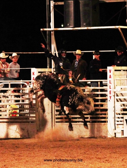 D.J. Shields, Humboldt, Kansas, native now rodeoing out of Wynnewood, Oklahoma, shows his championship form winning the Brent Cushenbery Memorial Bull Riding last year at Manhattan. Shields collected $2,520 for marking 87 points on 623 Price Sheriff, owned by Jimmy Crowther of Roxbury.
