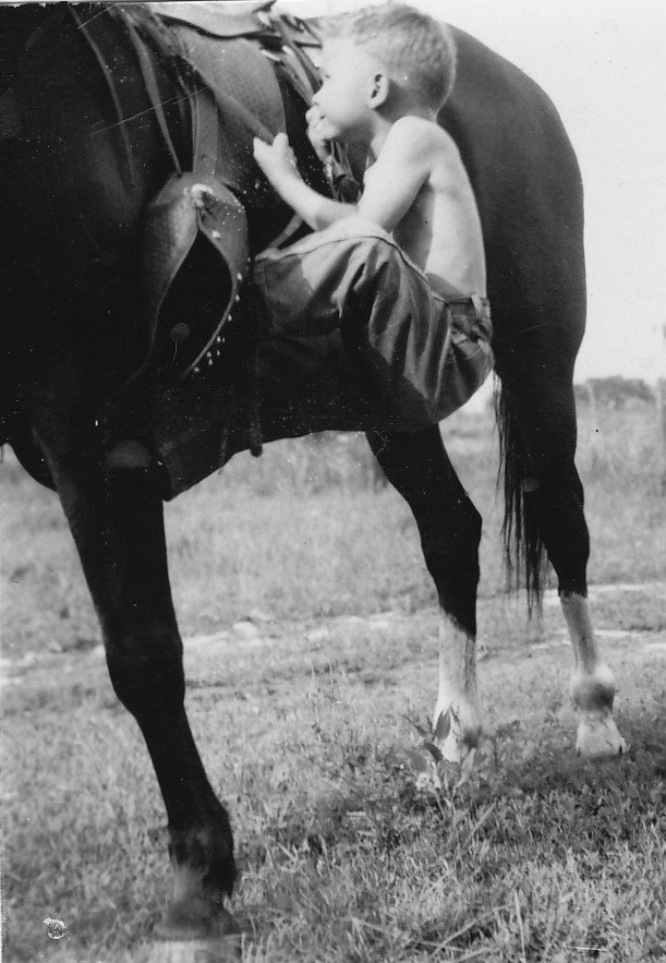 DK Hewett, at age four, learning to mount on his own. Gave a boy new-found freedom. He could already ride about anywhere on his own on Pat,  a mighty trusty horse.