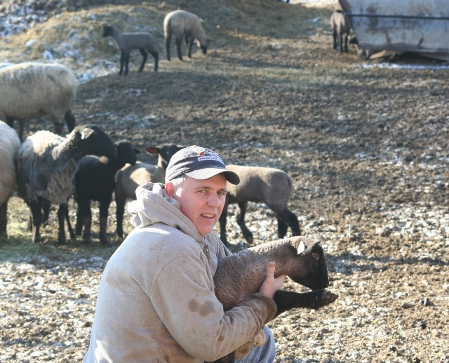 Kevin Harris of Harris Club Lambs at Abilene is emphatic about helping youth learn more about the lamb project and follows up with purchasers of the lambs he sells to offer advice and assistance in fitting and preparing for shows. Harris also attends premium sales and is a frequent buyer of a project sold to a young lamb exhibitor.