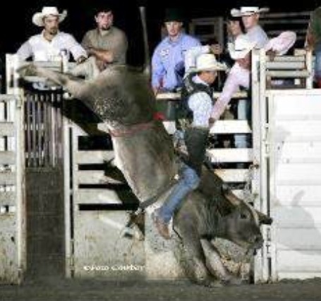 Brad Harris, Udall, shows his championship bull riding form on the renowned Grey Squirrel of the New Frontier Rodeo Company at Roxbury.