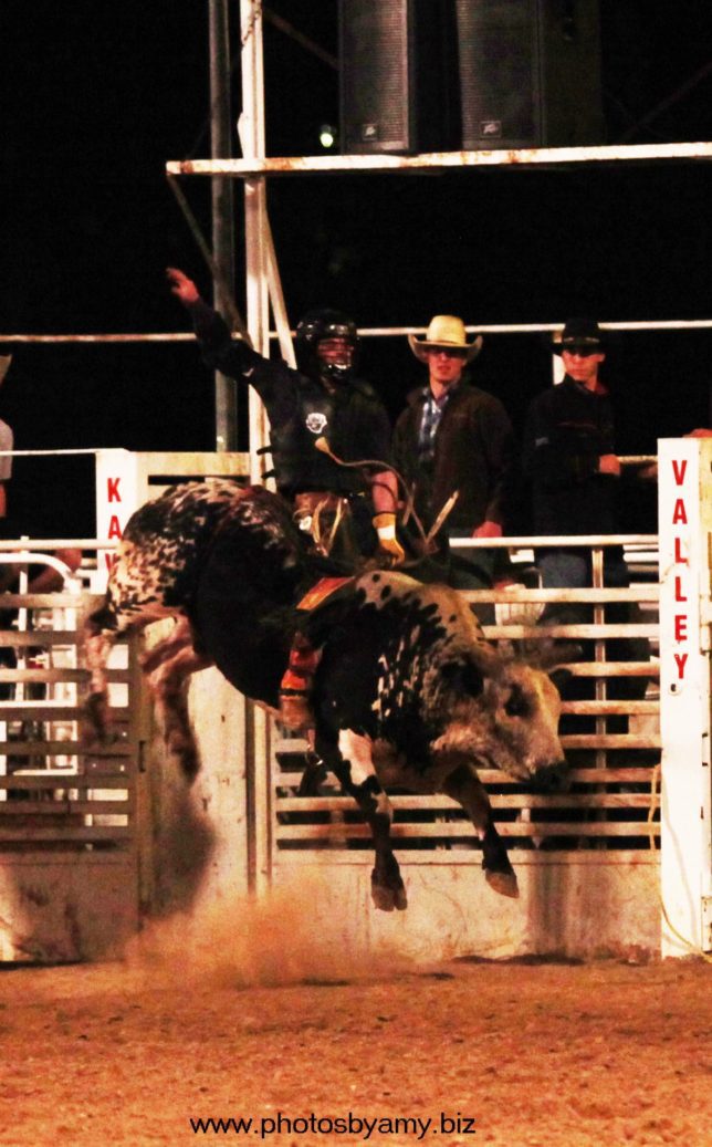 D.J. Shields, Talala, Oklahoma, was champion of the Brett Cushenbery Memorial Bull Riding at Manhattan. He rode the bull called Price Sheriff from the New Frontier Rodeo Company, Roxbury, to score 87 points and receive a check for $2,520.(www.photosbyamy.biz)