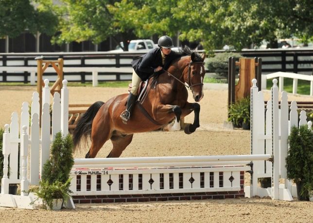 Over the fence and to the championship circle, Kylie Fowler of Fleetwood Riding Academy at Topeka participates in a jumping competition last year during a major show in Lexington, Kentucky.