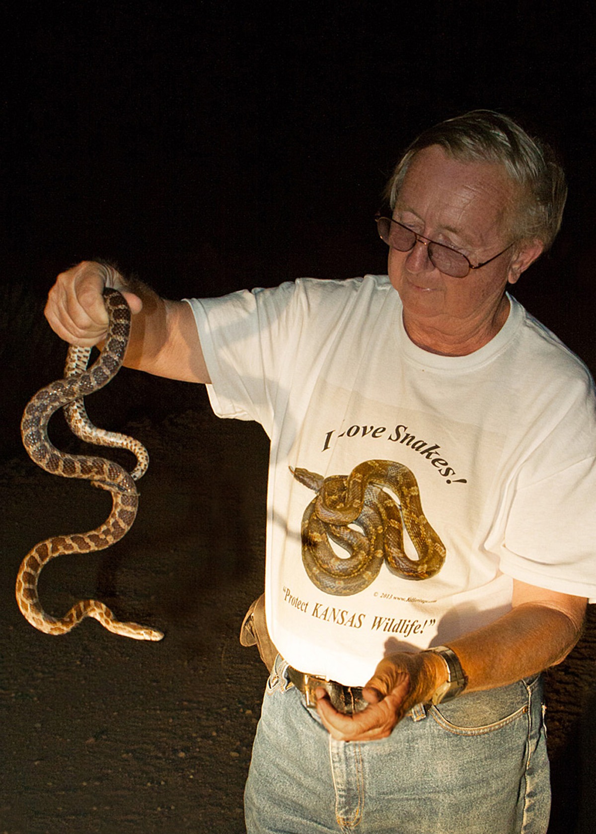 A harmless Great Plains Rat Snake found on a country road west of Sun City, in the Red Hills of Kansas, is displayed by Larry Miller, Wakarusa, while participating in a herpetological survey sponsored by the Kansas Herpetological Society. (Photo by Suzanne L. Miller.)