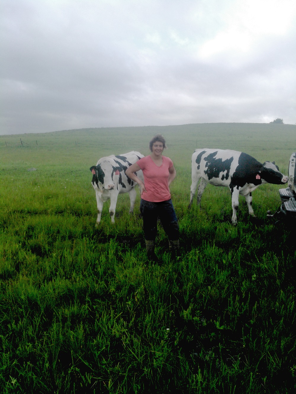  Holstein replacement heifers are developed on native grassland at Vos Dairy, operated by Ria Vos near Cedar Point in Chase County.