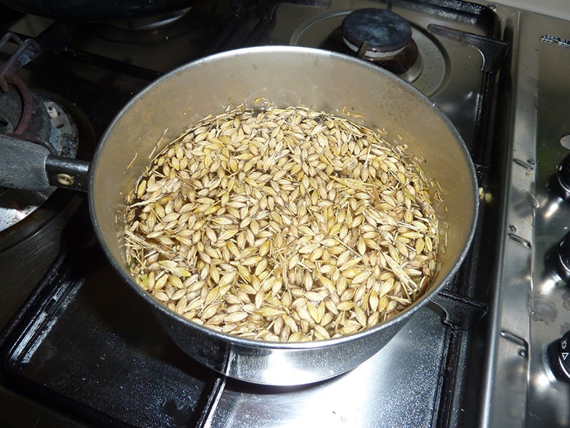 Cooking grain can sometimes improve digestion of rations to benefit of overall health of certain horses.