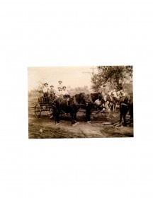 The Mace family near Brumley, Missouri, (now Lake of the Ozarks) owned teams and wagons for a commercial cargo hauling business in the early part of the 1900s. Harrison Mace, great uncle of Lois Webb, mother of Col. Dave Webb at Stilwell, became involved in merchandizing horses to the government for World War I.