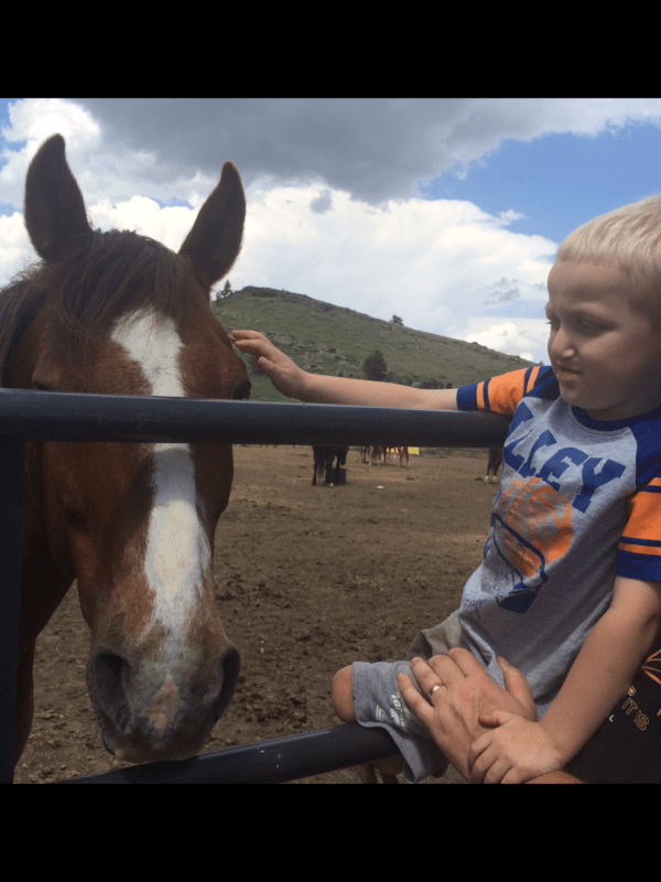 Five-year-old Bear Lacy wanted to see a horse before the Eureka Pro Rodeo, and is shown here getting introduced to a horse for the first time.