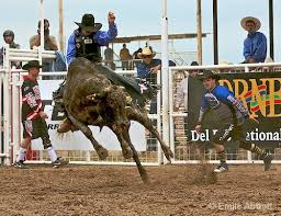 When the going gets tough, the tough get going, and Cooper Kanngiesser of Attica leaves no debate  about his philosophy of being one of the best bull riders in the world. Whatever the caliber of bucking bull, he sets down tighter, puts additional power into his rope  hand, decides that to win a cowboy has to ride, and then Cooper Kanngiesser comes out a repeat champion.