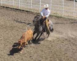 Work like they do everyday in their professional life will be fun competition when cowboys challenge their neighbors in the ranch rodeo to be featured as a fundraiser during the Family Fun Day,  Saturday, Sept. 12, at the Northeast Kansas Heritage Complex south of Holton.