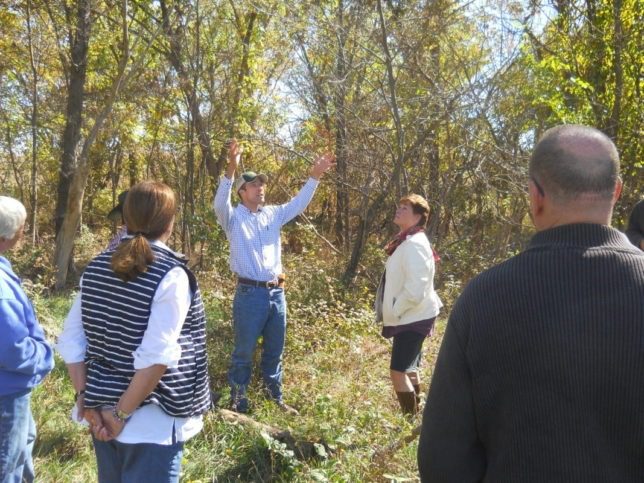 Alex Miller, Emporia, Natural Resources Conservation Service range specialist, explained how sawing around trunks of locust trees and applying herbicide in the ring effectively prevents re-sprouting from roots after the dead tree has been sawed down.