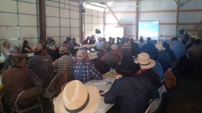 More than 100 cattle producers from eastern Kansas and western Missouri attended the Grazing Management Workshop, at the Frank Graham farm west of Garnett, to hear Dr. Jaymelynn Farney, southeast area Extension beef systems specialist,  discuss opportunities of integrating livestock and cropping systems. (Photo courtesy of Rod Schaub.)