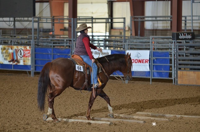 Doreen Everett, Abilene, showed her American Quarter Horse Association (AQHA) Champion stallion, Bartendin Baron, affectionately known as Cinco, in the ranch riding competition at a registered Quarter Horse show during the  Black Hills Stock Show in Rapid City, South Dakota.