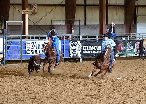An all-around Quarter Horse, Bartendin Baron, the stallion called Cinco, is on the heading end with professional horseman Jamie Stover, Abilene, in the saddle roping at the Black Hills Stock Show in Rapid City, South Dakota.