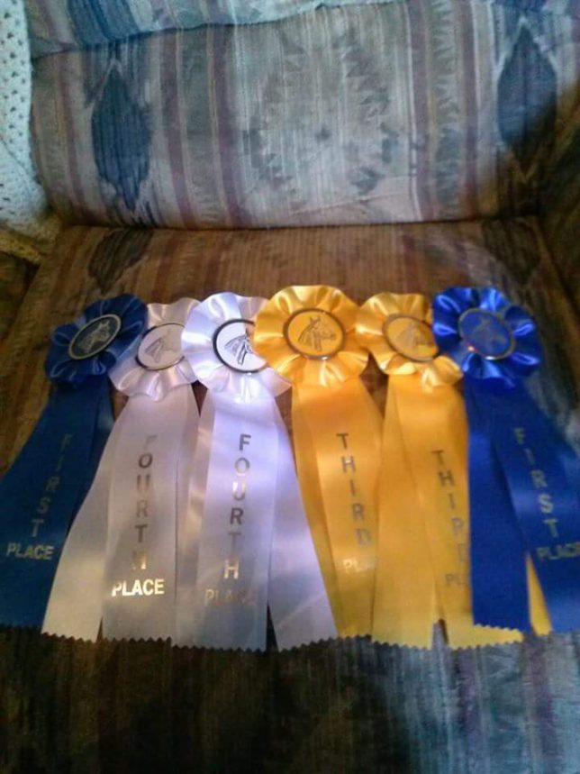 It was a great day for Vicki Smith of Manhattan when she and her horses collected these award rosettes at a horse show this year. 