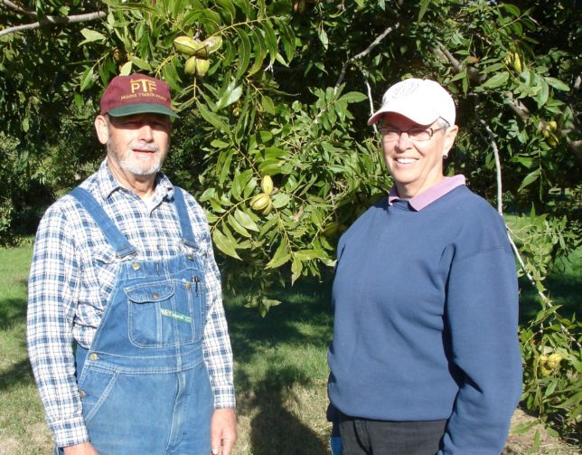 Brad and Lila Carter have more than 1,900 pecan trees in their farming operation, Jake Creek Pecans, near Paola in Miami County. 