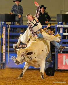 Winning more than a million dollars as a professional bull rider, Dave Samsel will be featured at the K-State Rodeo Club Bull Riding School, February 12-13, in Manhattan. 