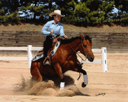 Dr. Kristina Hiney, equine nutritionist and exercise physiologist, is a member of the American Quarter Horse Association and the National Reining Horse Association.  She trains and shows her own reining horses.