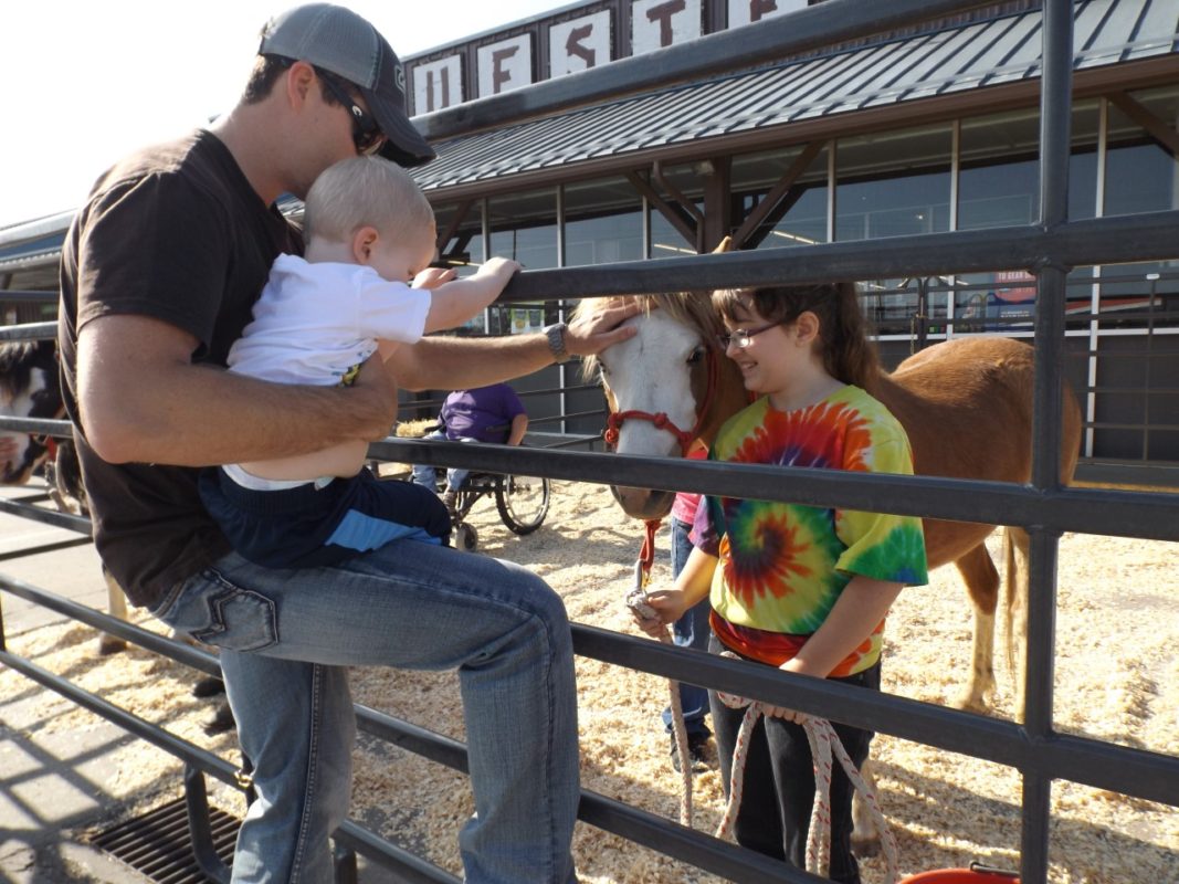 Seeing, petting and talking to real live horses from Blankley Gypsy Vanner Horses, O’Rear Welsh Pones and the Shooting Star Equine Rescue will be a highlight of Breyer Fun Day Saturday at Bluestem Farm & Ranch Supply, Emporia.
