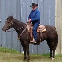 Hamilton rancher Wayne Bailey is a lifetime rodeo cowboy who’ll serve as Grand Marshal for the Eureka Pro Rodeo parade Saturday afternoon, Aug. 20, at Eureka. 