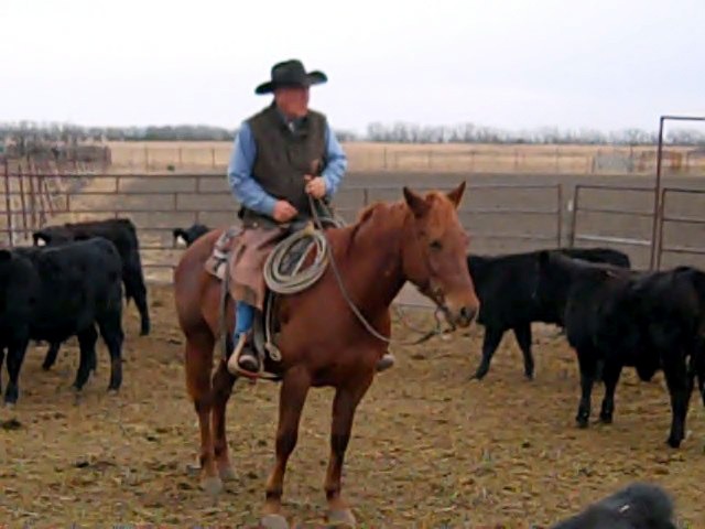 Always a cowboy, Carl Lee Stueve, inspiring dad and teacher, now champion poet, forever enjoys mounting up to check cattle at his Olpe ranch.