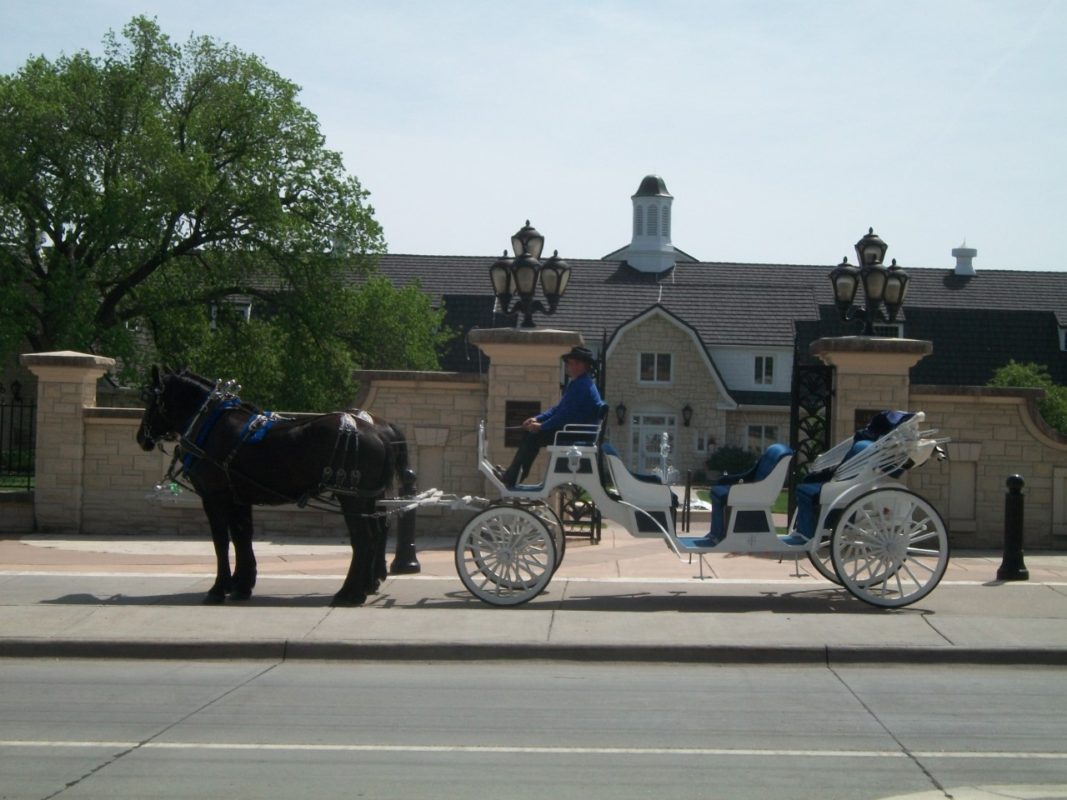When it’s a formal affair, 3C Carriage Service of White City gets formal, too, with the luxurious white Visa-A-Vis limousine powered by their magnificent black Percheron mares. 
